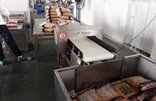 连新牌509N大屏幕食品金属检测机花生制品厂使用现场